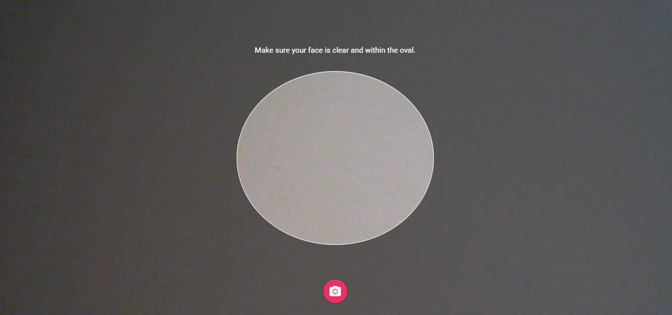 BioPay selfie capture screen